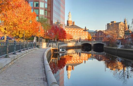 Glowing trees and a sense of place: Big ideas for moving Manchester Forward post image