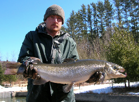Weekly Fishing Report: Merrimack River stocked with ‘monster’ salmon post image