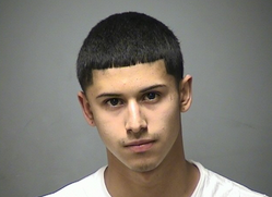 Trio of alleged thieves on bikes spotted on Huse Road, 2 arrested, shotgun recovered post image