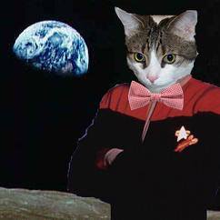 Help for Boris Kitty:  He’s not ready to be beamed up to the Rainbow Bridge just yet post image