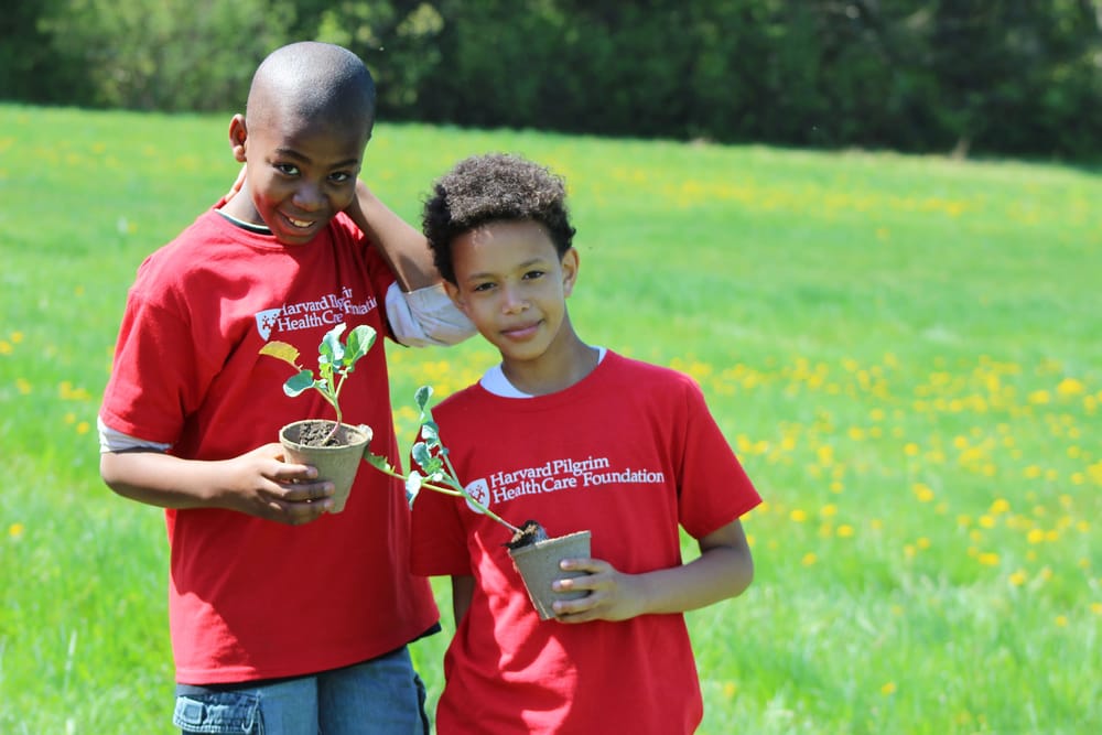 Community in Action: Harvard Pilgrim and City Year join forces for NH Food Bank post image