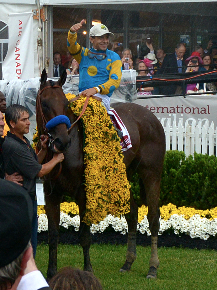 Cheers for American Pharoah, but I hope horse racing becomes a thing of the past post image