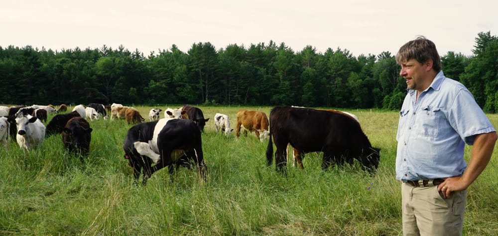 Red, White, & Chew: Joining the Grass-Fed Meat Revolution post image
