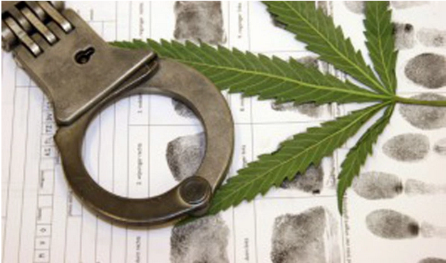 Survey says: Majority of Granite Staters favor legalization, decriminalization of pot post image