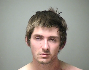 Man on the run cornered by K-9, charged with domestic assault, resisting arrest post image