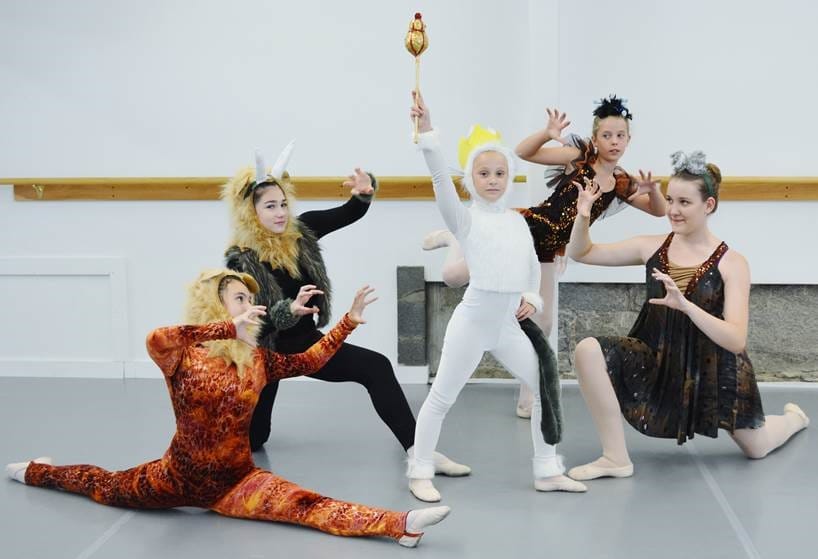 Family Fest 2015 at Veterans Park: Where the Wild Things Will Be post image