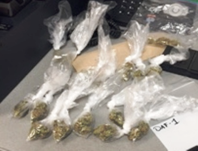 Car stopped for no headlights leads to drug charge for backseat passenger post image