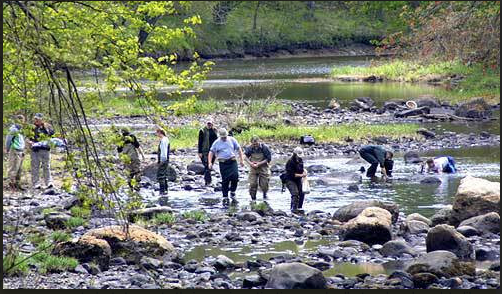 NH teachers gone wild: Fish & Game Aug. 21 workshop designed for educators post image