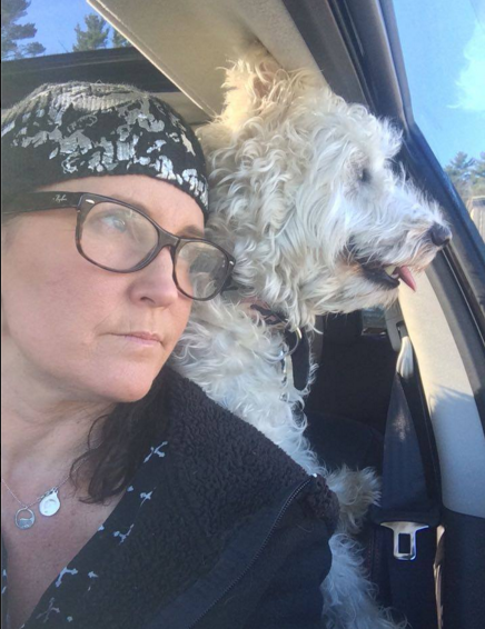 Finding a home for Curly: Abandoned pets on the rise due to drug-addicted owners post image