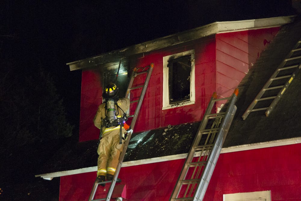 Cats rescued from Carroll Street blaze caused by unattended cooking post image