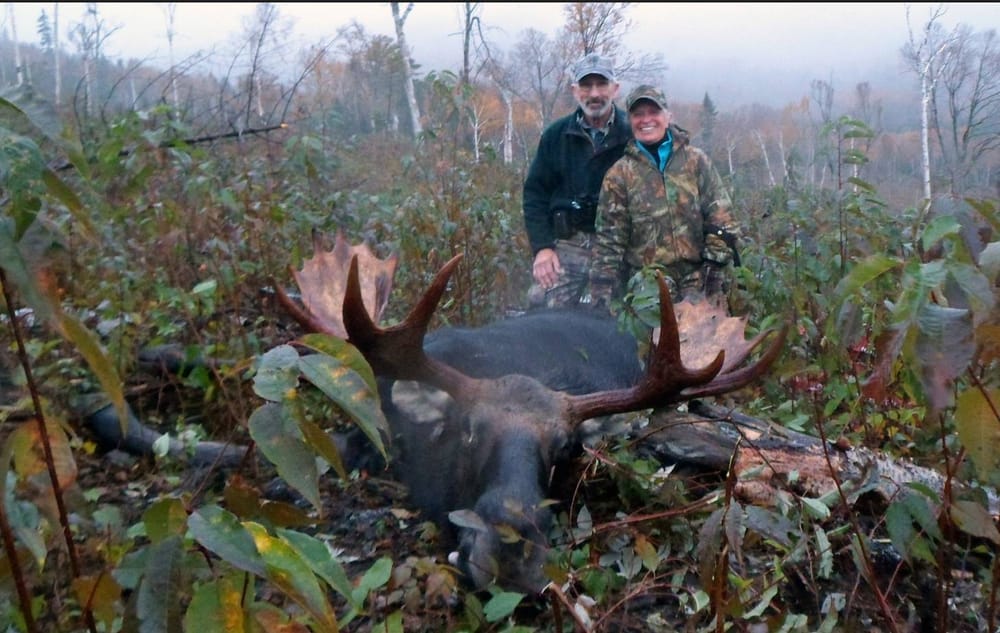 NH hunting report – deer, moose harvest numbers down slightly this year post image
