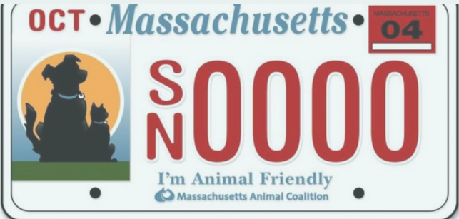 Canine Christmas wishes: How about pet-friendly vanity plates for NH? post image