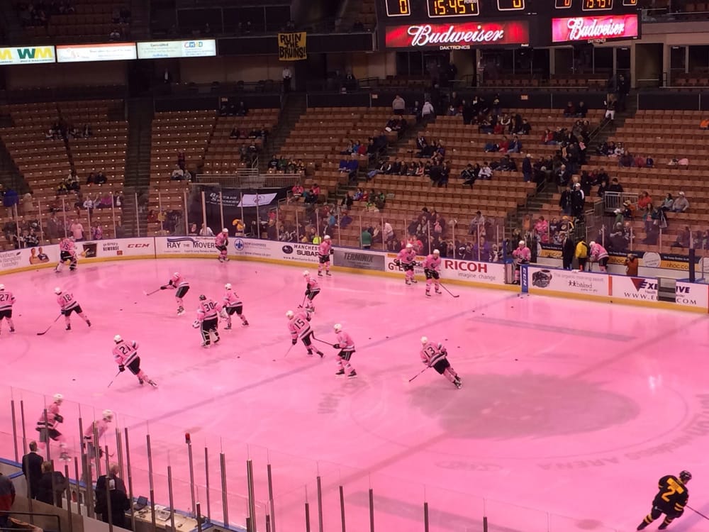 Pink in the Rink: Monarchs Game Day Preview post image