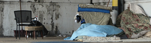 7 things you need to know about the homeless post image