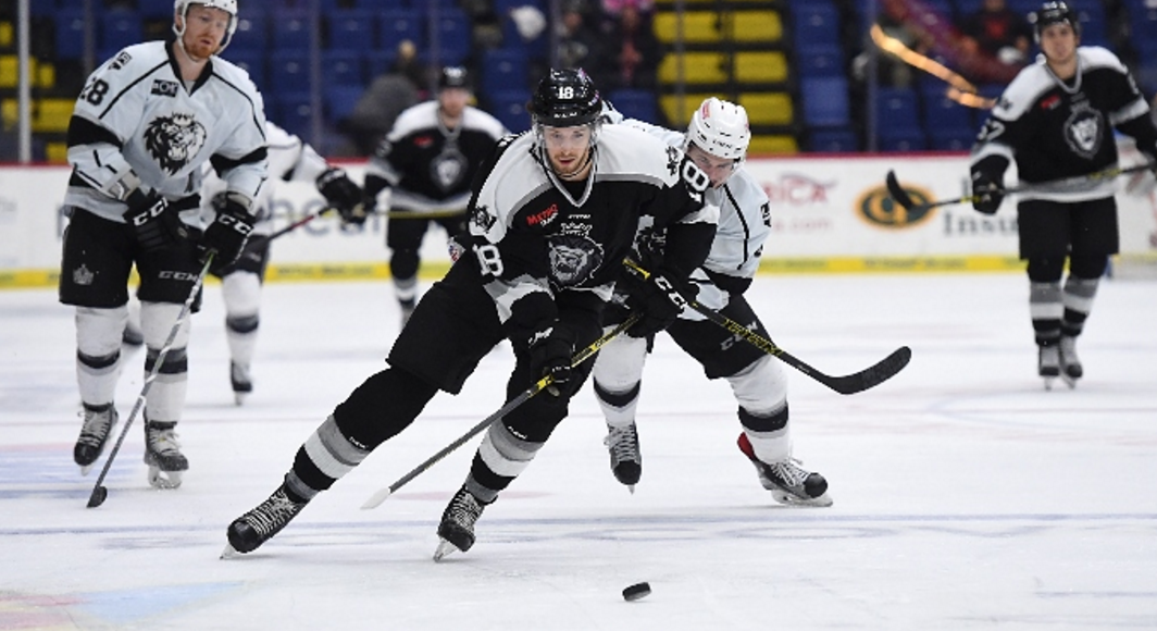 Monarchs fill score sheet in 5-2 win over Reading Royals post image
