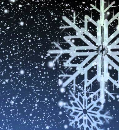 Snow has fizzled into rain, with a high today of about 50 post image