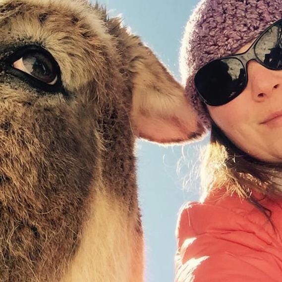 Animal-loving Wilton artist specializes in whimsical pet portraits post image