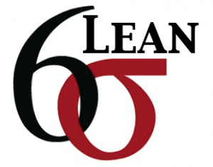 Lean Six Sigma: Like the martial arts of industrial efficiency post image