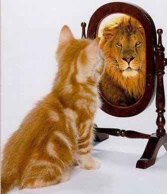 Becoming the Person I Want to Be post image