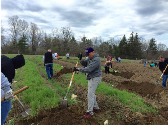 $30K donation = Miracle Grow for NH Food Bank production garden post image