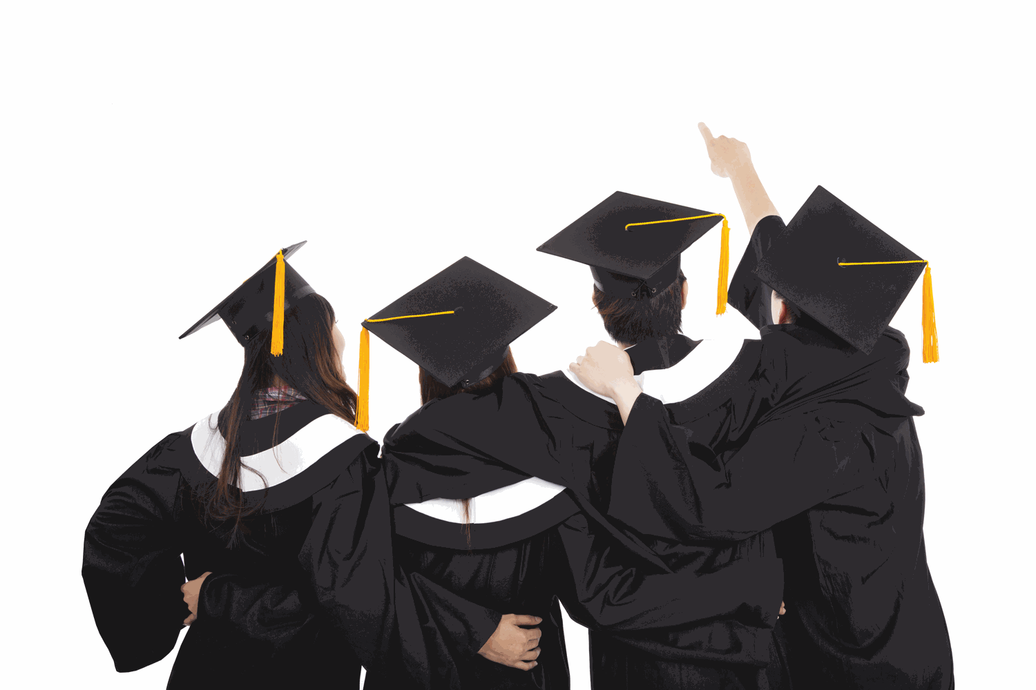 Workforce Accelerator 2025 to create pathways to work for graduates post image