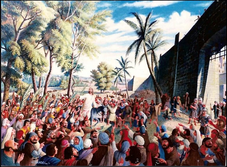 Palm Sunday: Holy Week and the symbolism of the palm branch post image