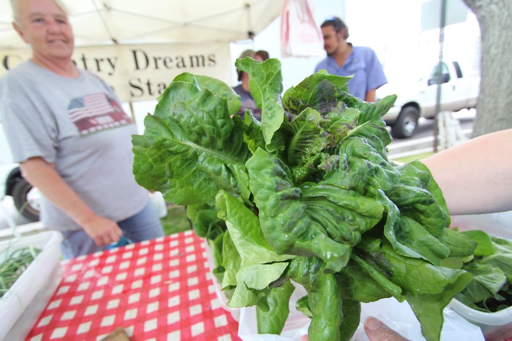 Manchester’s Community Farmers’ Market 2018: Bigger, better, more – more – more post image