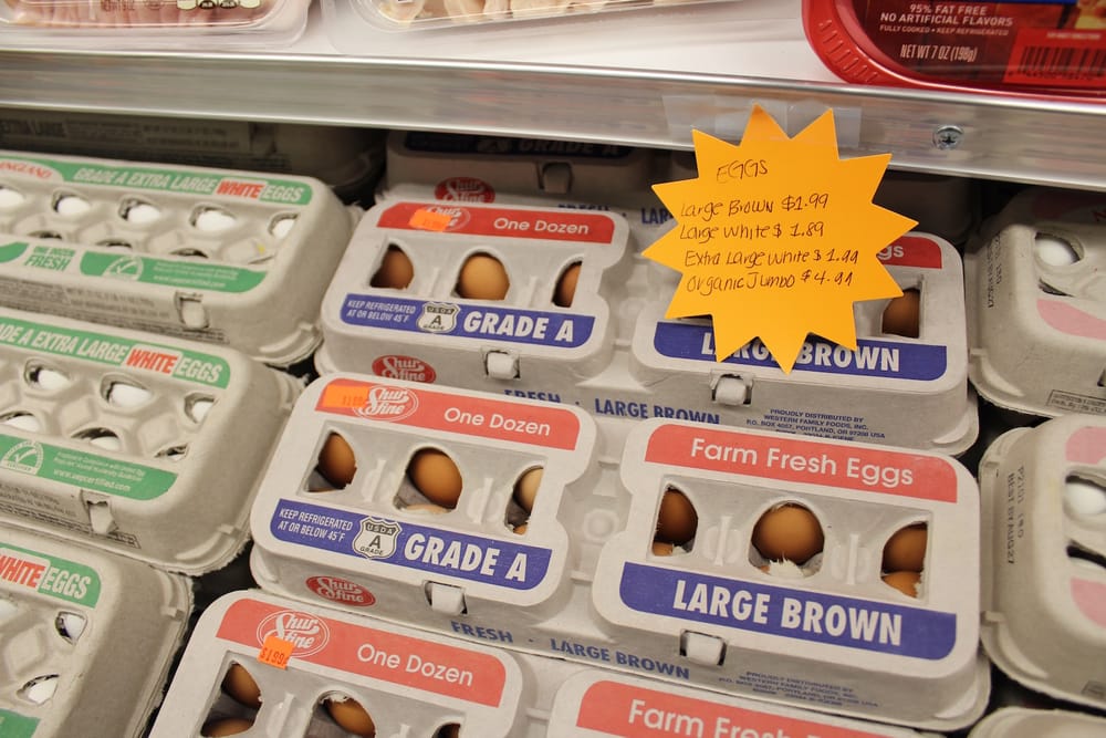 Manchester schools need more eggs (and other updates from Tuesday’s BOSC meeting) post image