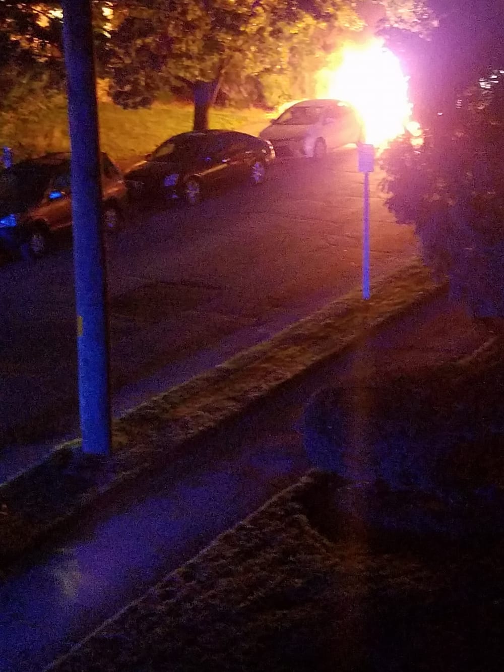 Dog perishes in Allen Street fire caused by washing machine malfunction post image