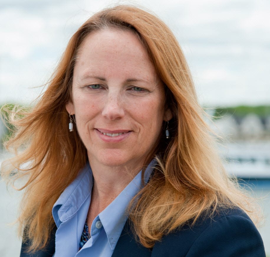 Money in politics: NHDP charging congressional candidates $37,500 for voter data post image