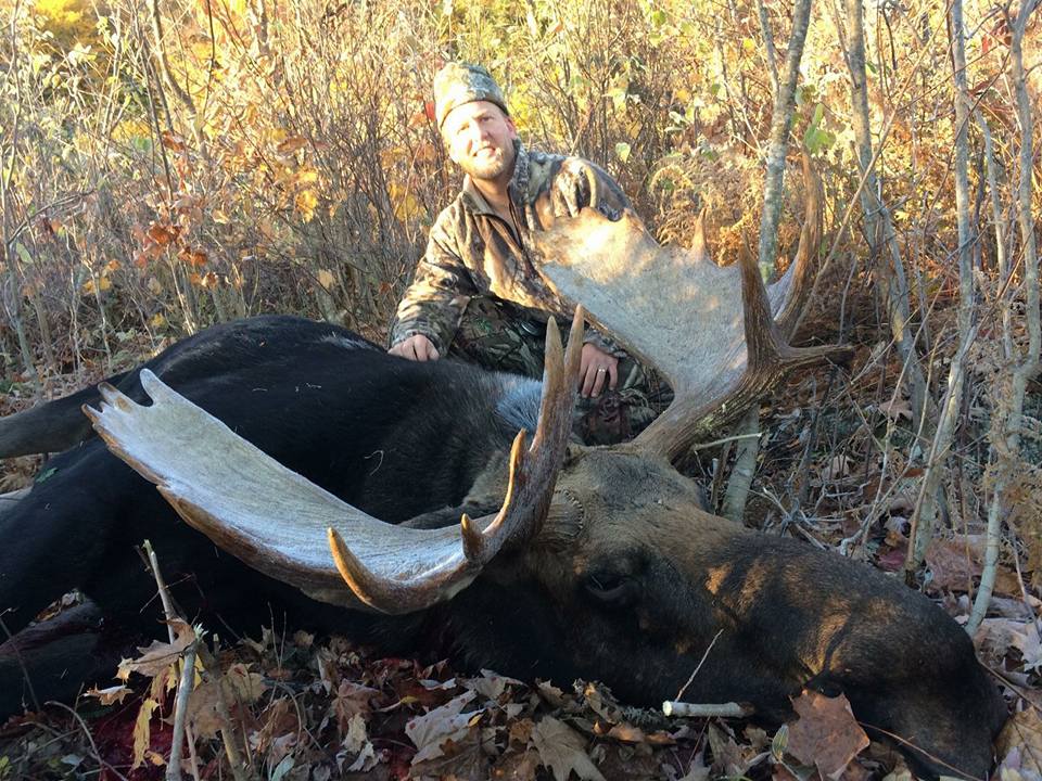 2019 Moose hunt lottery winners announced post image
