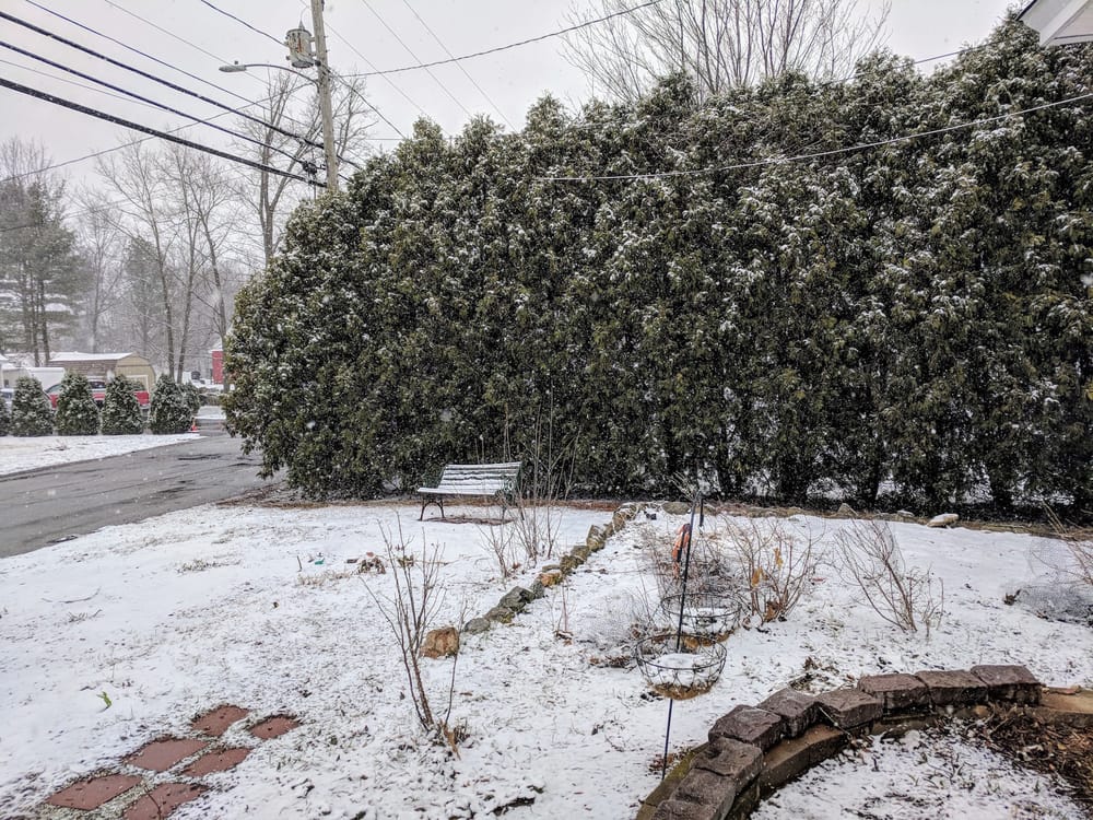Weather: April snow showers will still bring May flowers post image