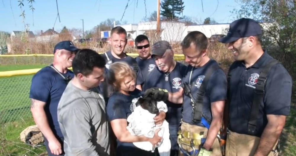 Lifesavers: MFD crew rescues puppy from culvert post image
