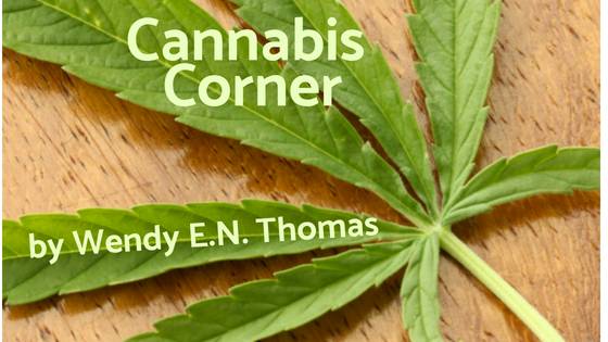 How cannabis works in your body post image