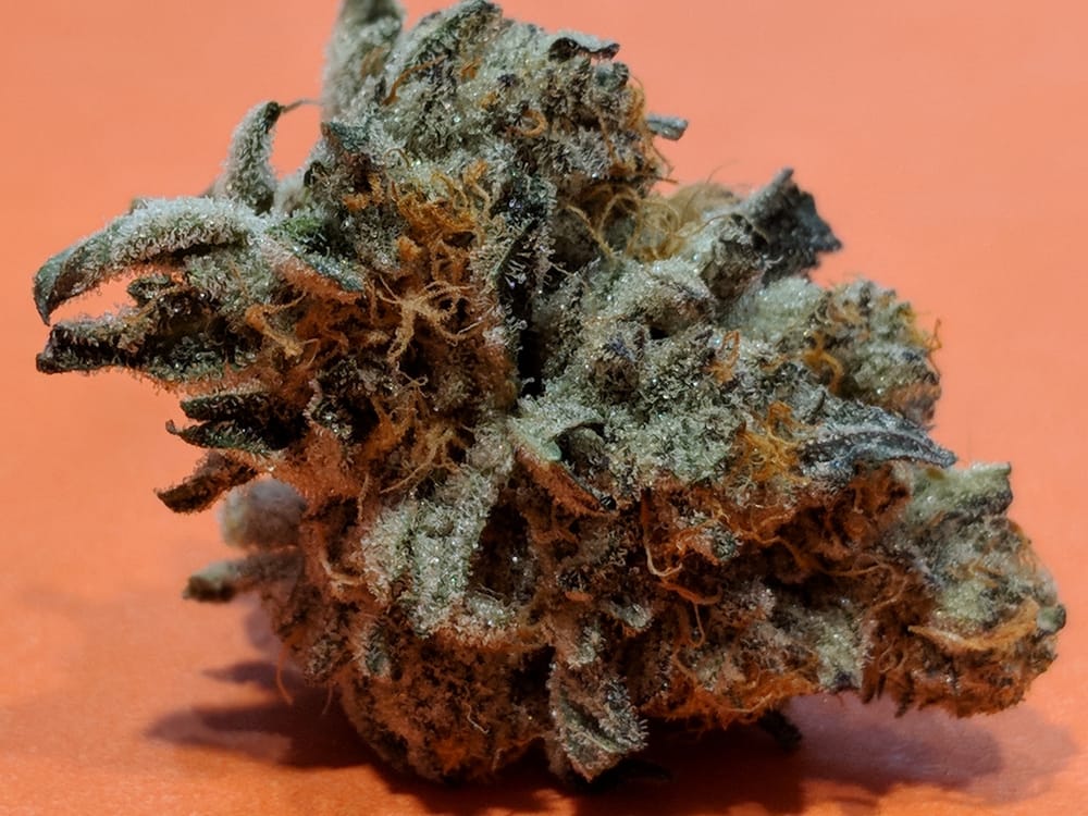 Recreational cannabis approved by the House post image