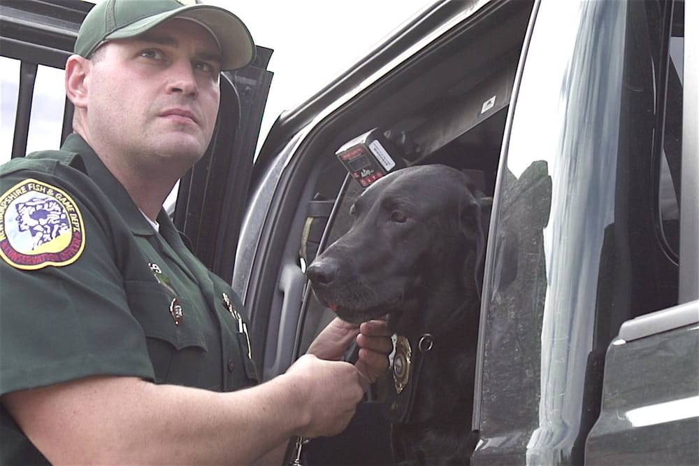Season 2 of Animal Planet’s North Woods Law premieres Aug. 19 post image