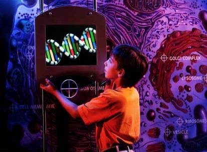 Ready, set, genome: Exhibit coming to SEE Science Center post image