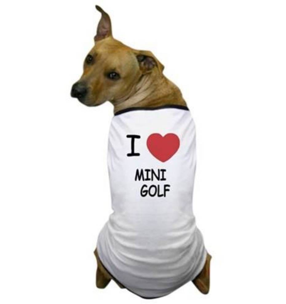Aug. 4 Manchester Animal Shelter Mini-Masters puts the fun in fundraising post image