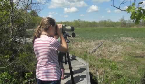 Educators: Schedule a fall classroom wildlife program post image