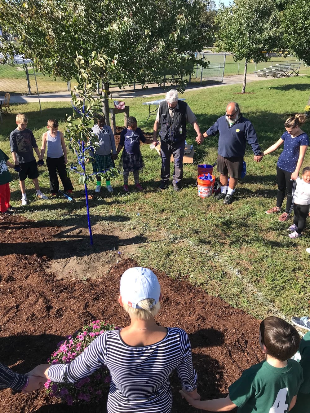 Roots and memories: ‘Blue tree’ planted at Central Little League to honor player killed in July crash post image