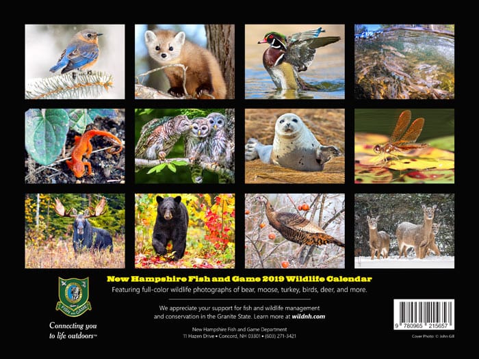Got outdoor enthusiasts on your list? Shop Wild NH post image