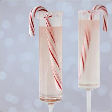 Caroling, mimosa brunch and more: Get into the spirit at the Currier this weekend post image