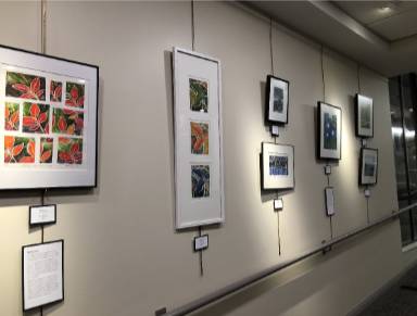 Dec. 11 reception for NH Printmakers, on display through Jan. 30 at Manchester City Hall gallery post image