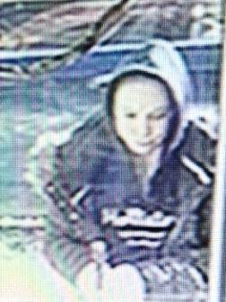 Woman sentenced to serve 3-6 years for January arson on Silver Street post image