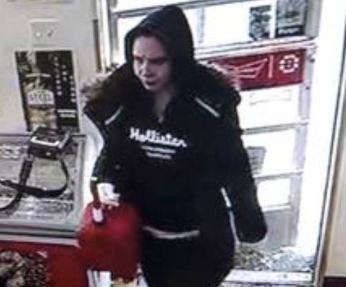 More photos of woman sought in connection with Silver Street arson post image