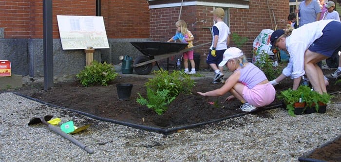 Workshops: Learn to establish and teach in schoolyard habitats post image