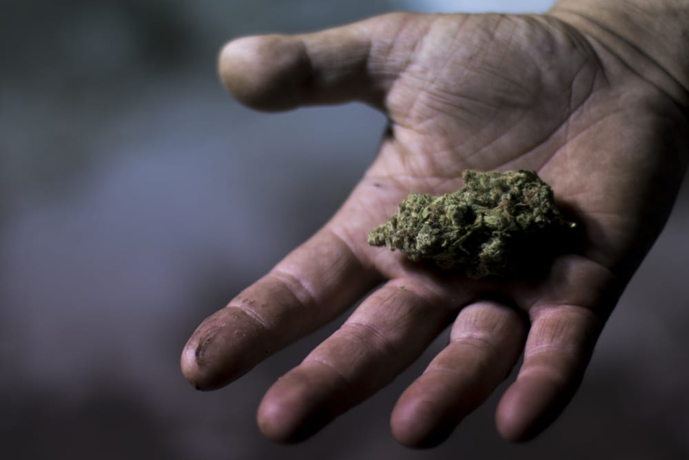 Bill to legalize pot dead –  for now –  but will be back post image