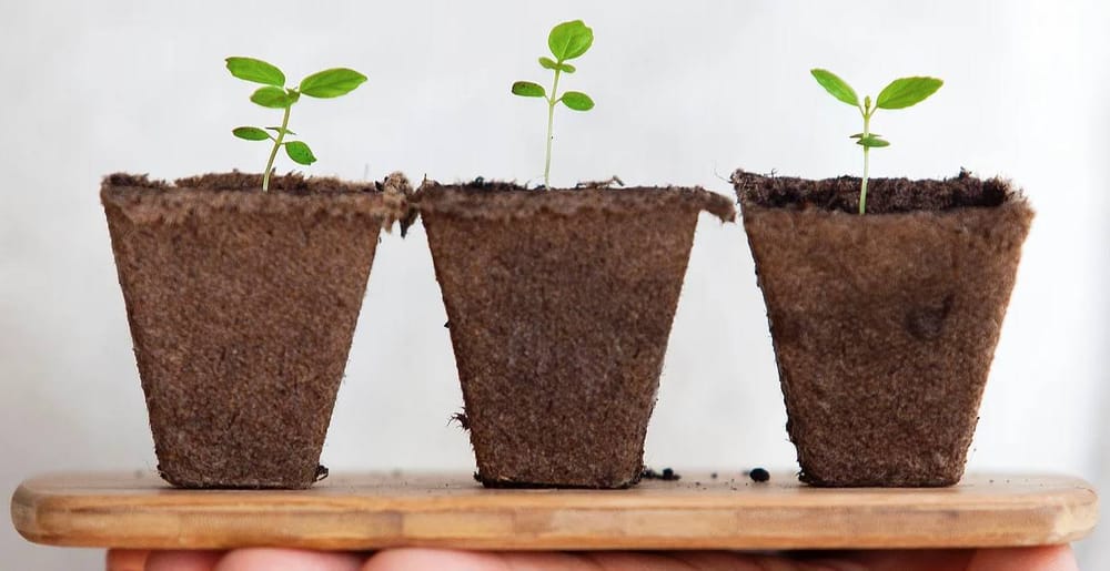 5 finalists named in $25K Granite State Growth business pitch competition post image