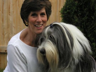 MRT Technologies client profile: All Dogs Gym & Inn post image