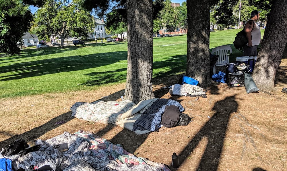 Parks become campsites with homeless influx: What’s the city to do? post image